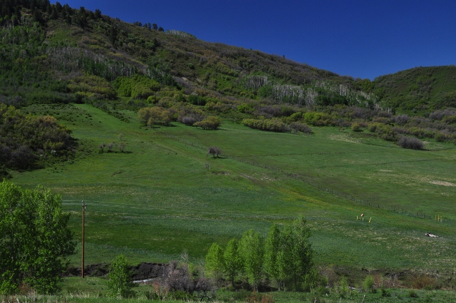 The lucious green hillsides of Highway 160 between Durango and Mancos